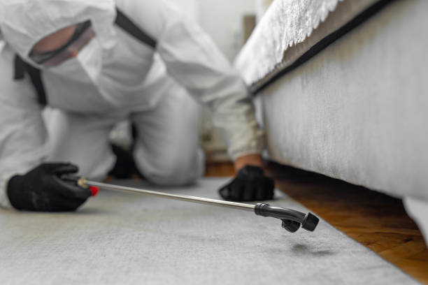Professional Bed Bug Control technician working in Butler, IN